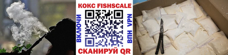 Кокаин Fish Scale  Купить  Новосокольники 