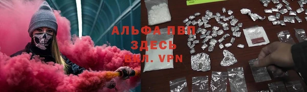 гашик Арсеньев