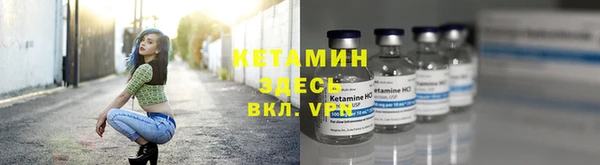крисы Армянск