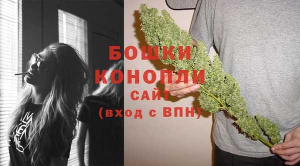 гашик Арсеньев