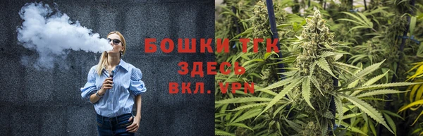 гашик Арсеньев