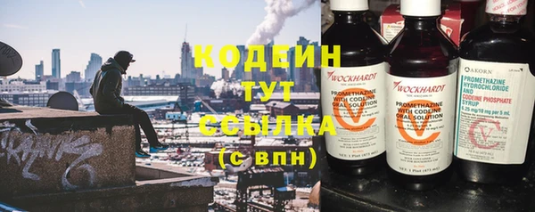 крисы Армянск